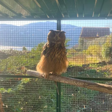 Lägenhet Sole Verbania