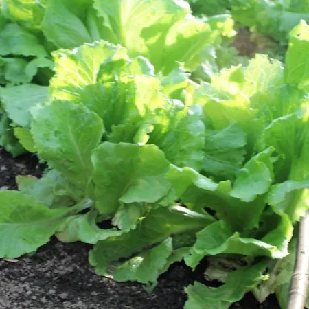 Lägenhet Sole Verbania