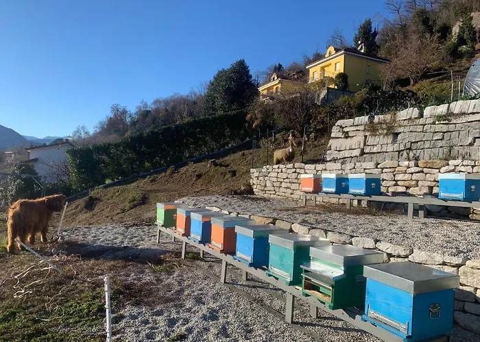 Sole * Verbania