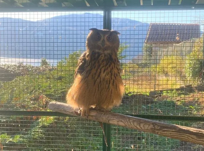 Apartment Sole Verbania