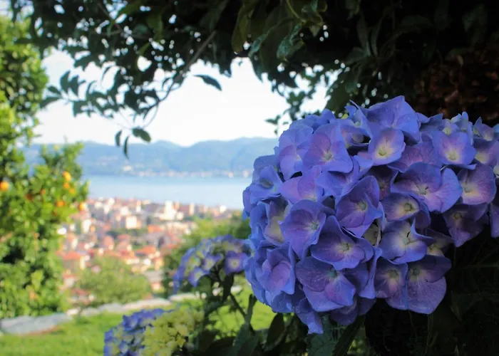 Sole Verbania